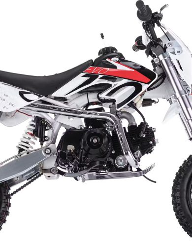 Питбайк BSE EVO 110e Evolution A 12/10 кол. (Автомат)