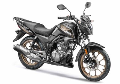 Мотоцикл дорожный STELS RK 125