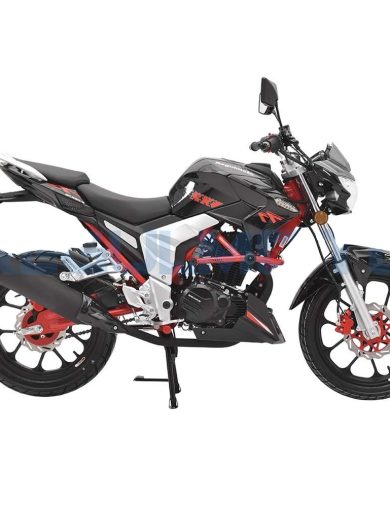 Мотоцикл Regulmoto Raptor new (4Т,250см3,19л.с,возд.охл)