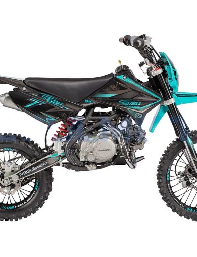 Питбайк Regulmoto SEVEN MEDALIST PRO (140см3,эл.стартер.,возд.охл,19/16 кол.)