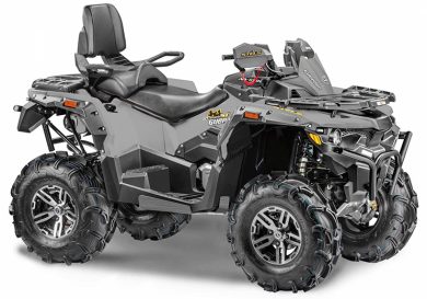 Снегоболотоход STELS ATV 800 EPS GUEPARD (многоцветный (серый, черный))