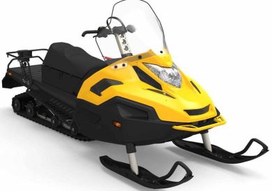 Снегоход STELS СТАВР MS600 WT ST LUX (белый/черный)