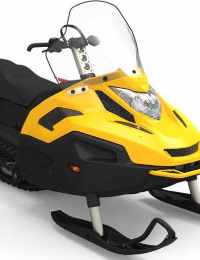 Снегоход STELS СТАВР MS600 WT ST LUX (белый/черный)