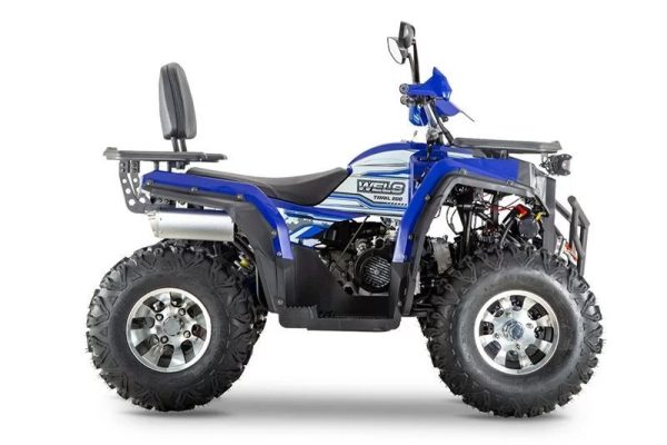 Квадроцикл Wels Thunder 200 PRO — изображение 2