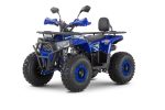 Квадроцикл Wels Thunder Trail 125 PRO, синий