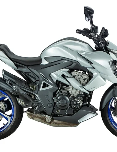 Мотоцикл ZONTES ZT350-R1 (4T ZT184MP EFI) 17/17 (2023г.)